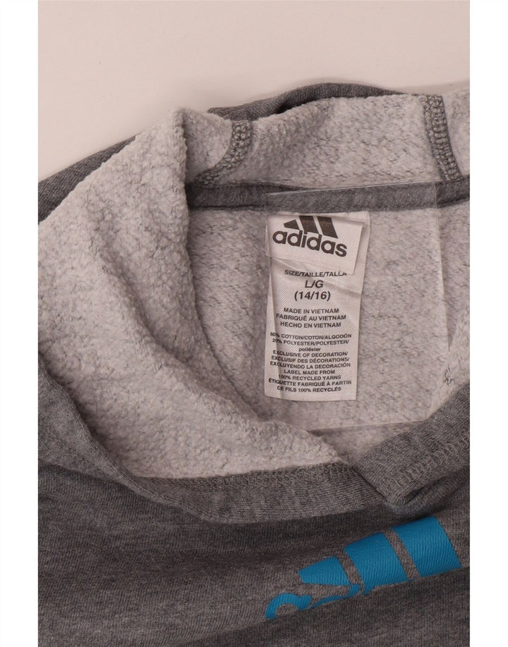 ADIDAS Sudadera con capucha gráfica para niños 14-15 años Grande Gris Algodón