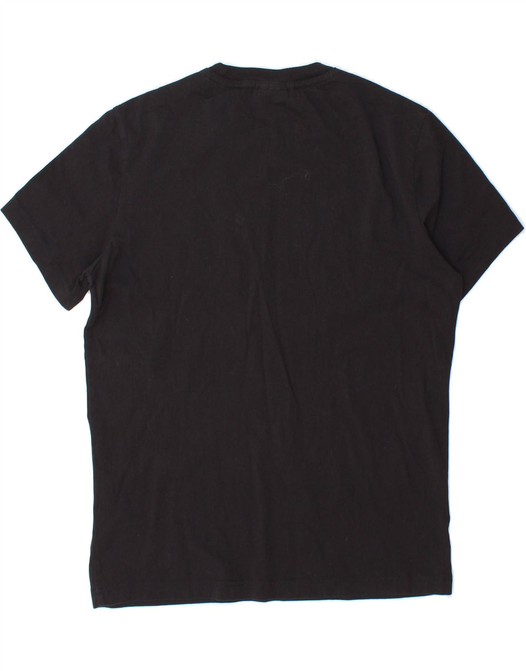 CHAMPION Mens Graphic T-Shirt Top Medium Black Cotton Vintage Champion and Second-Hand Champion from Messina Hembry 