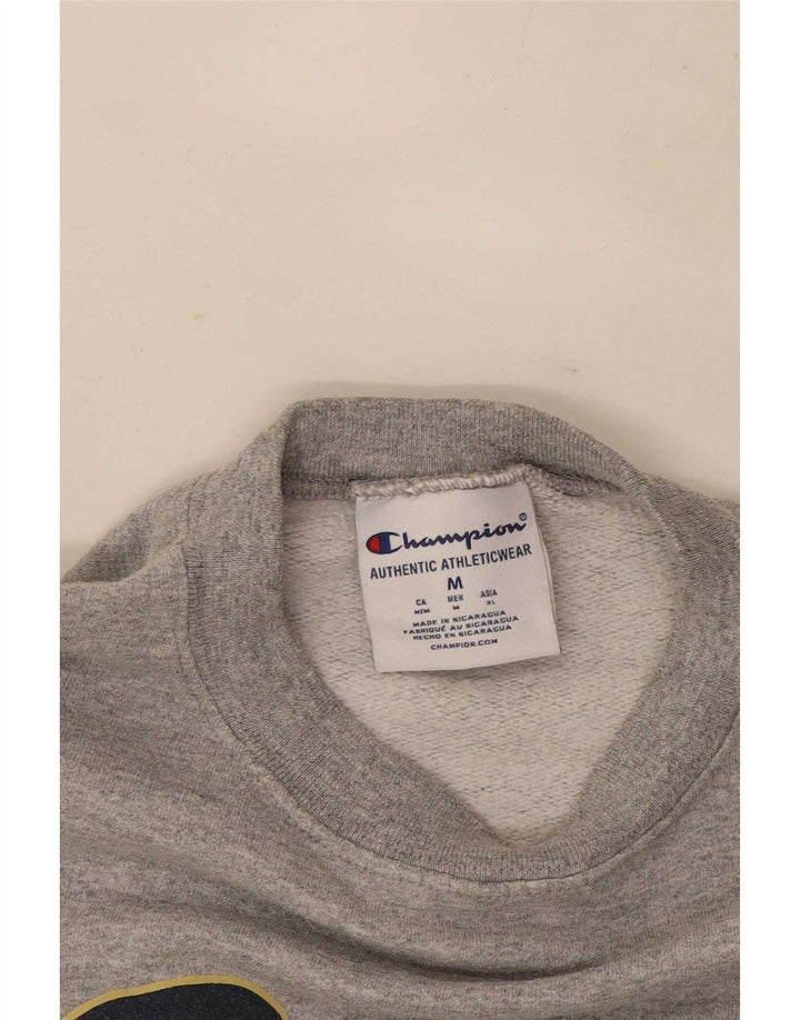 Champion Sudadera Gráfica Jumper Gris Medio Moteado