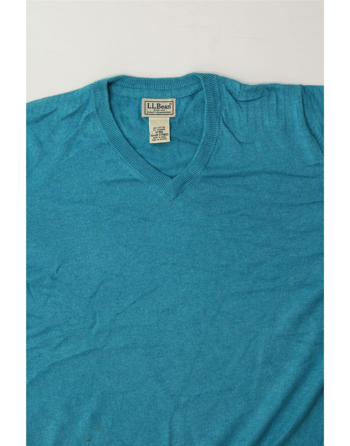 L.L.BEAN Mens V-Neck Jumper Sweater Medium Blue Cotton Vintage L.L.Bean and Second-Hand L.L.Bean from Messina Hembry 
