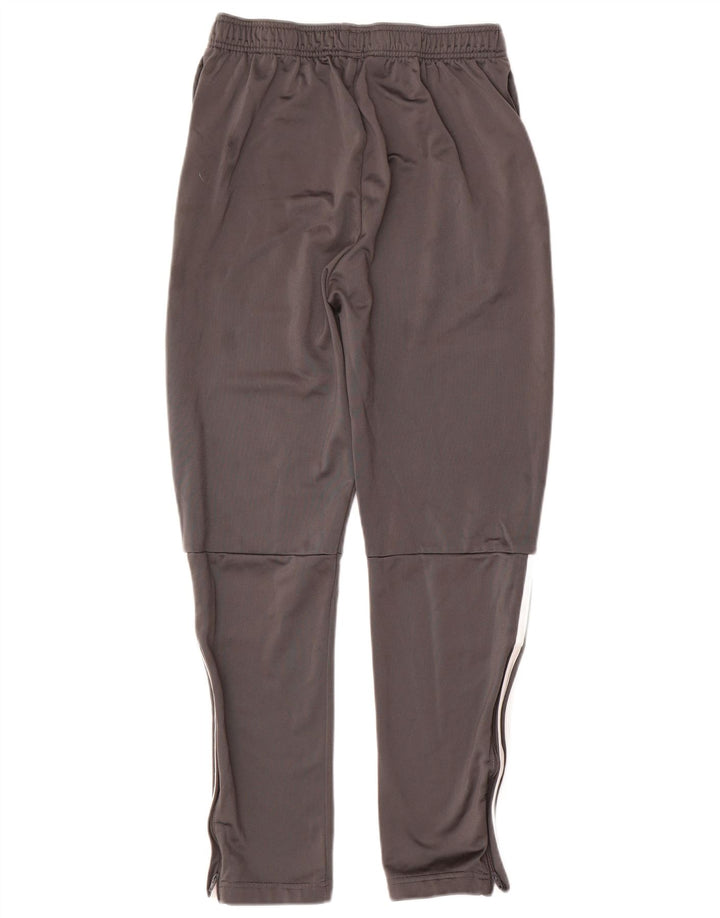 Adidas Pantalón Chándal Niño 15-16 Años Gris Poliéster