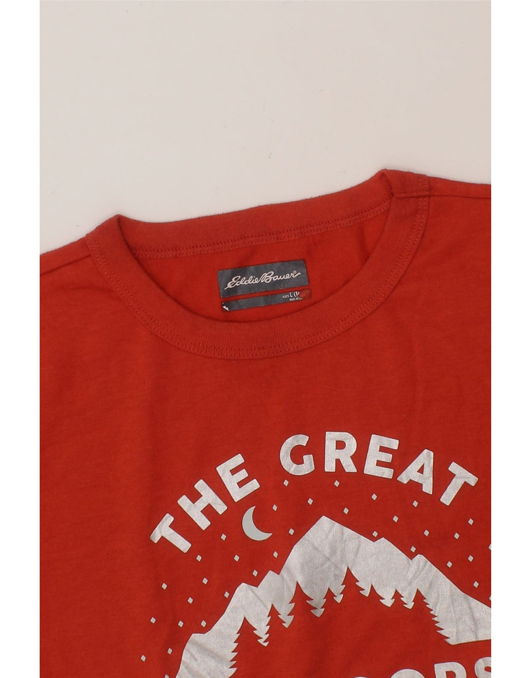 EDDIE BAUER Boys Graphic T-Shirt Top 14-15 Years Large  Orange Polyester Vintage Eddie Bauer and Second-Hand Eddie Bauer from Messina Hembry 