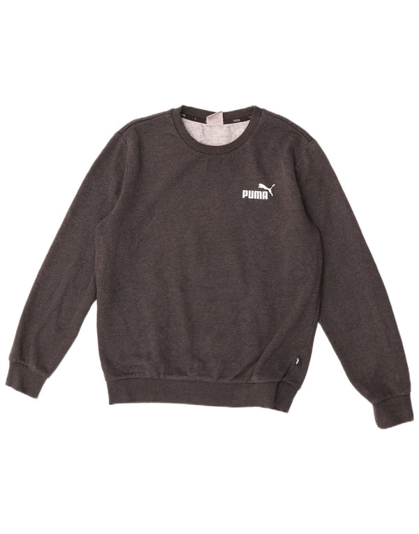 Sudadera Puma Hombre Jumper Small Gris Algodón