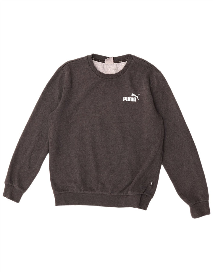 Sudadera Puma Hombre Jumper Small Gris Algodón