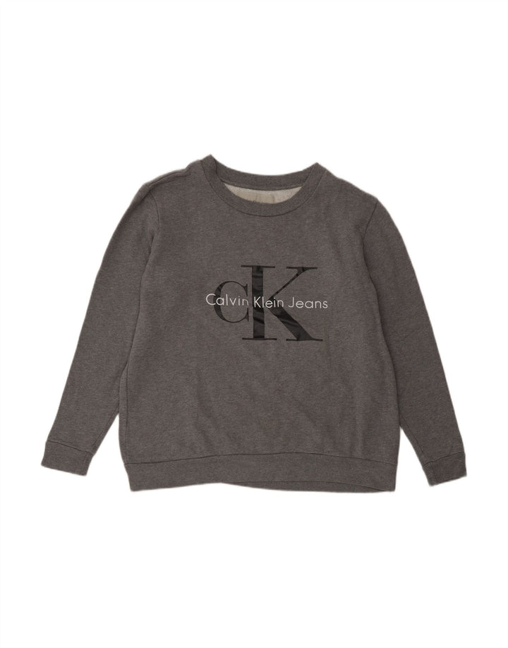 CALVIN KLEIN JEANS Mens Graphic Sweatshirt Jumper Small Grey