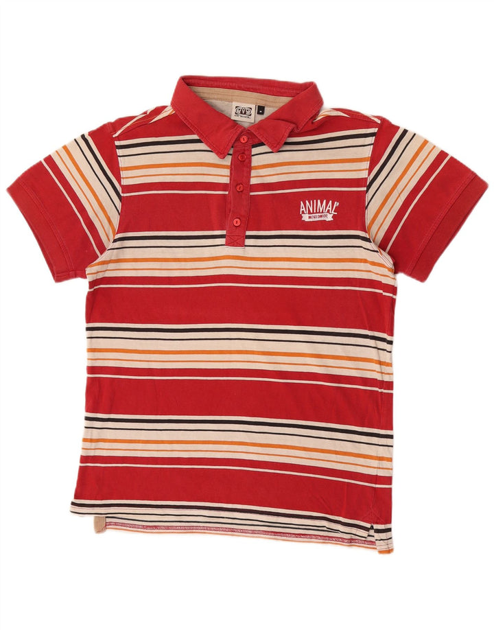 Animal Polo De Hombre De Algodón A Rayas Rojo Medio