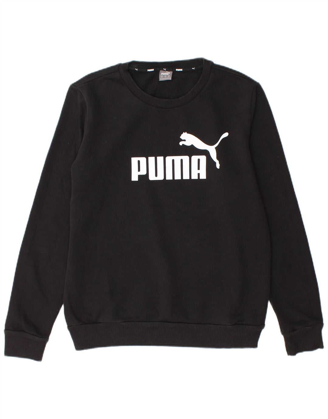 Sudadera Puma Hombre