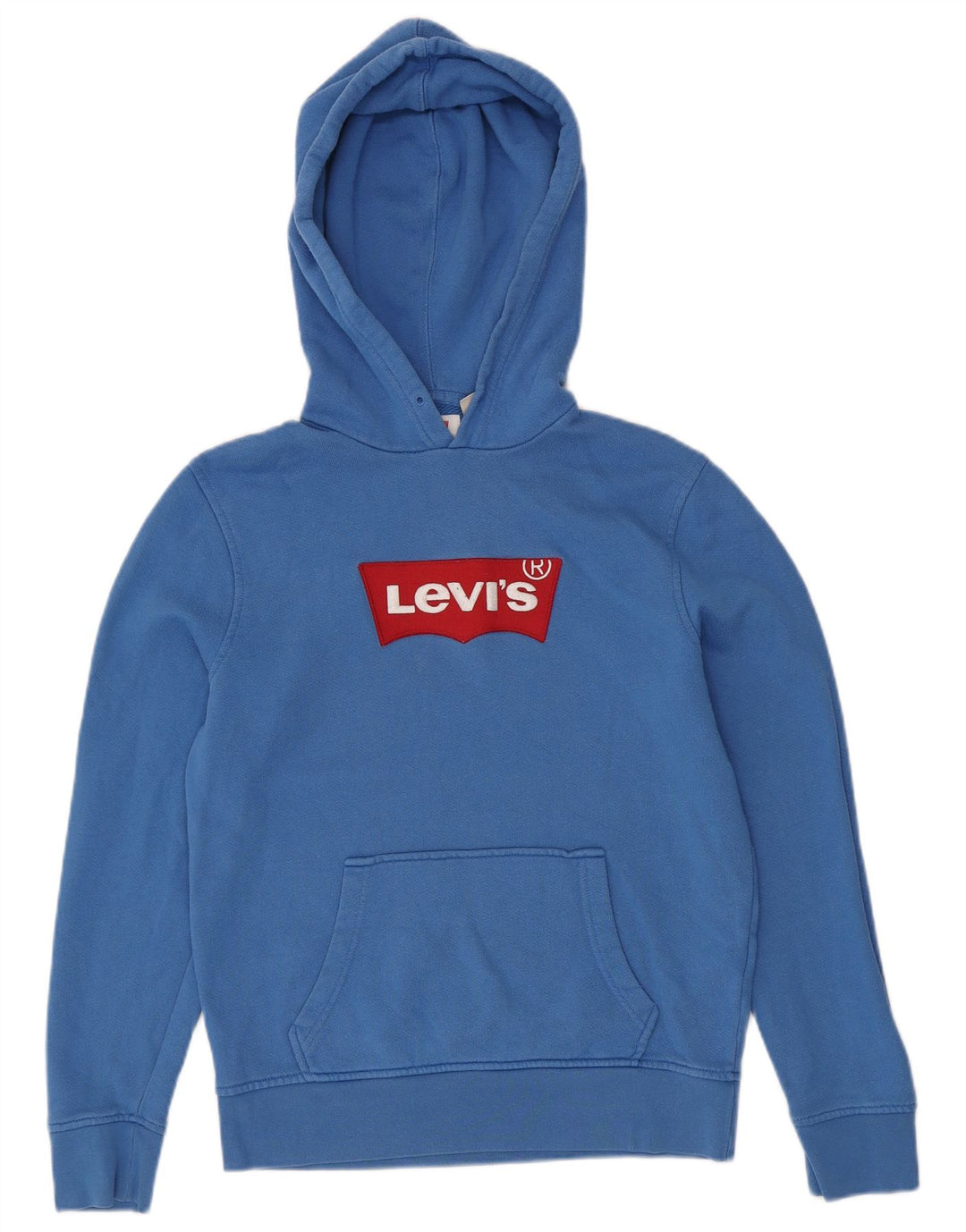 LEVI'S Hombre Sudadera Con Capucha Gráfica Jersey Pequeño Algodón Azul