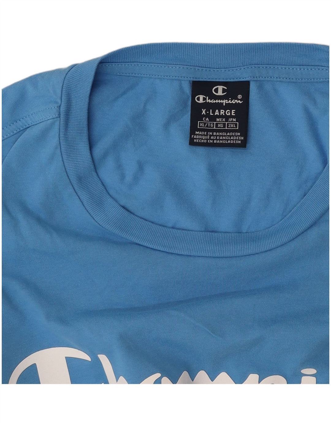 CHAMPION Mens Graphic T-Shirt Top XL Blue