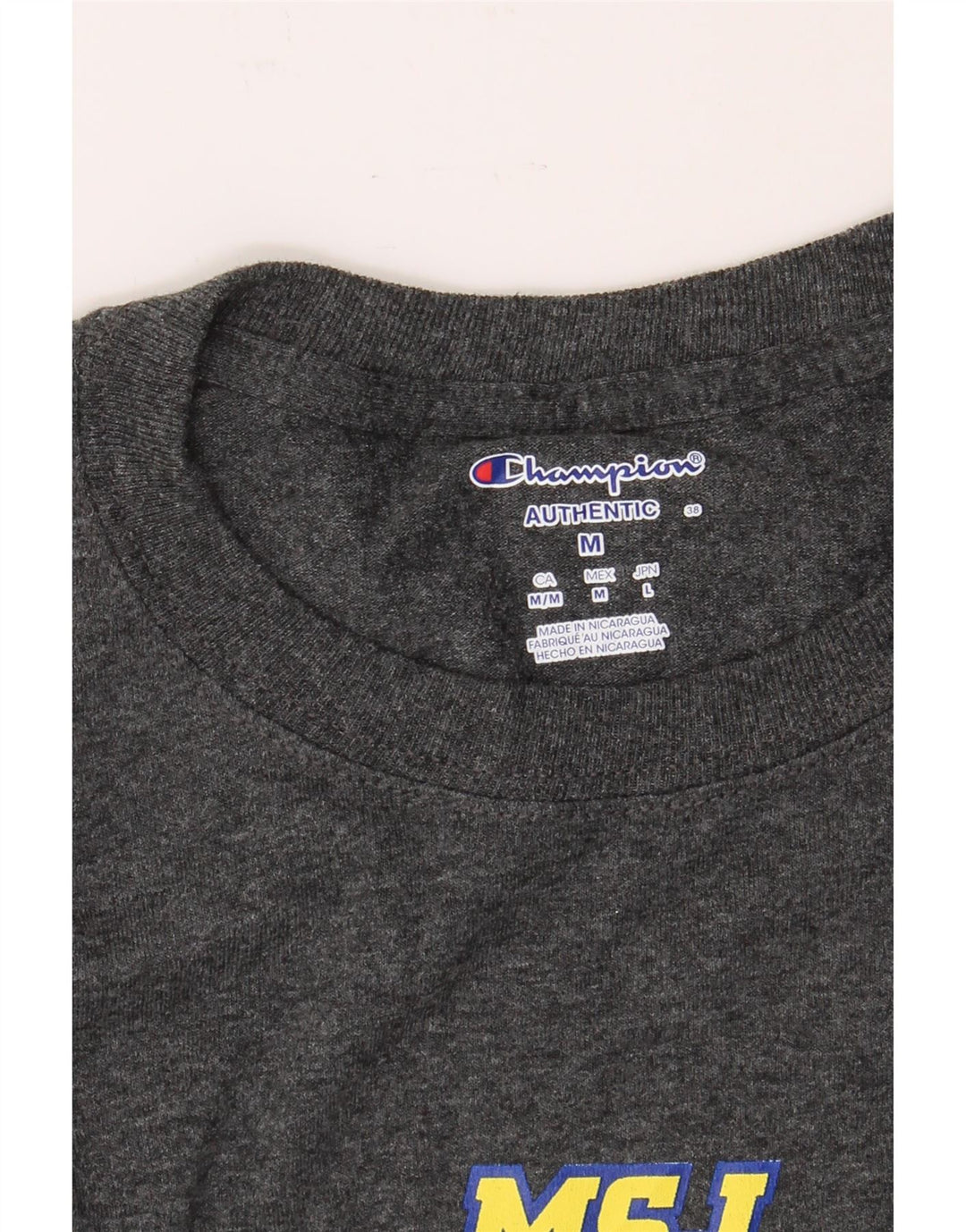 CHAMPION Mens Graphic T-Shirt Top Medium Grey Vintage Champion and Second-Hand Champion from Messina Hembry 