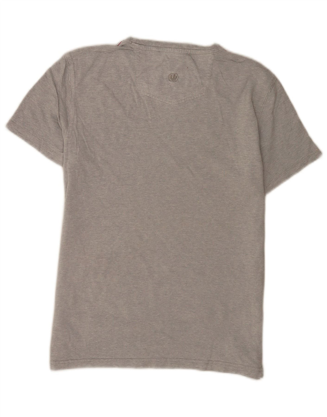 Camiseta con estampado gráfico de hombre de Fat Face, talla pequeña, de algodón moteado en gris