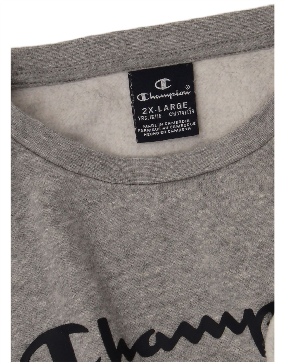 Champion Sudadera gráfica para niños 15-16 años 2XL Gris