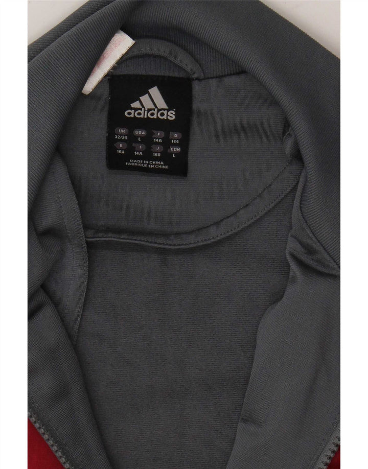 Adidas Chaqueta de chándal para niño 13-14 años Gris Colorblock Poliéster