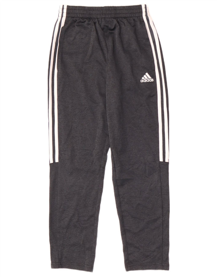 Adidas Pantalón Chándal Niño 10-11 Años Gris Medio Poliéster