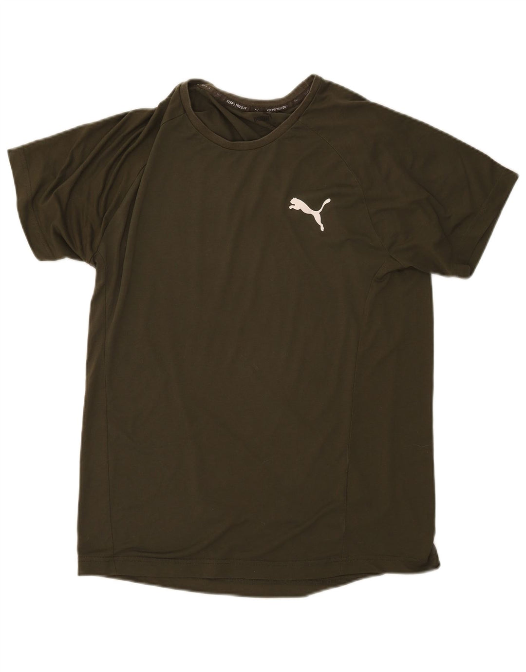Camiseta Puma Hombre Top Large Caqui Algodón
