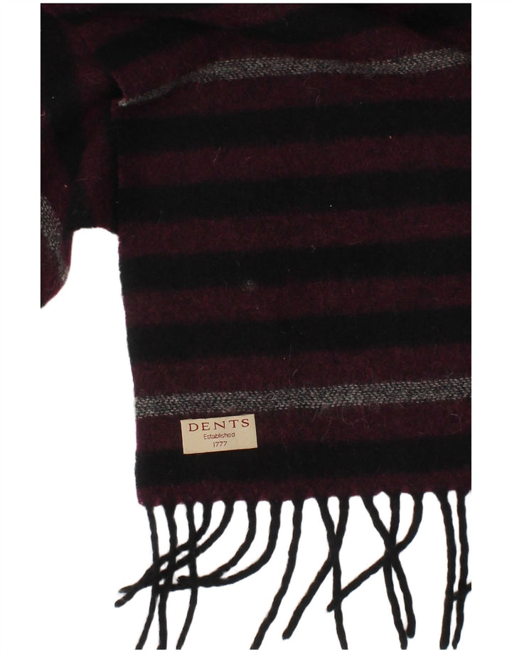 Dents Bufanda rectangular para hombre Talla única Púrpura Rayas Invierno