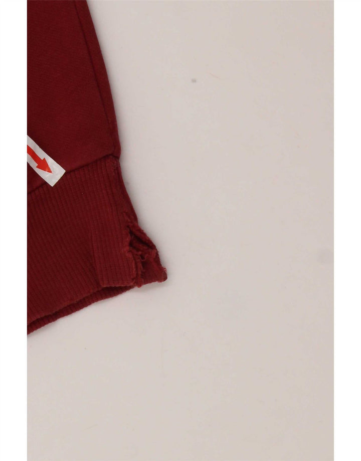 Puma Sudadera Gráfica para Hombre Jumper Large Rojo