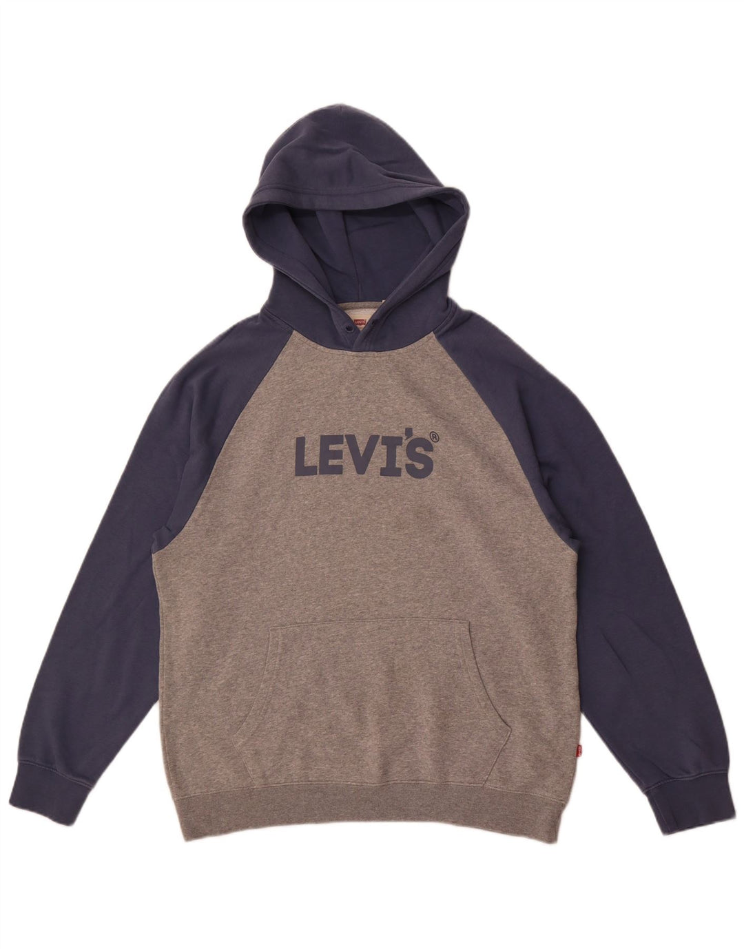 Levi's Jersey con capucha y corte relajado con diseño gráfico en bloques de color gris medio para hombre
