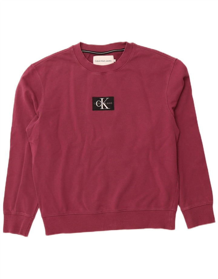 CALVIN KLEIN JEANS Sudadera estampada para hombre Jumper Medium Purple