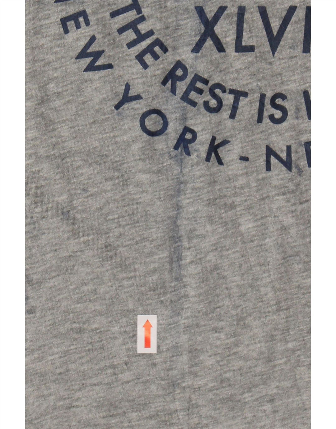NIKE Womens Slim Fit Graphic T-Shirt Top Large  Grey Polyester Vintage Nike and Second-Hand Nike from Messina Hembry 
