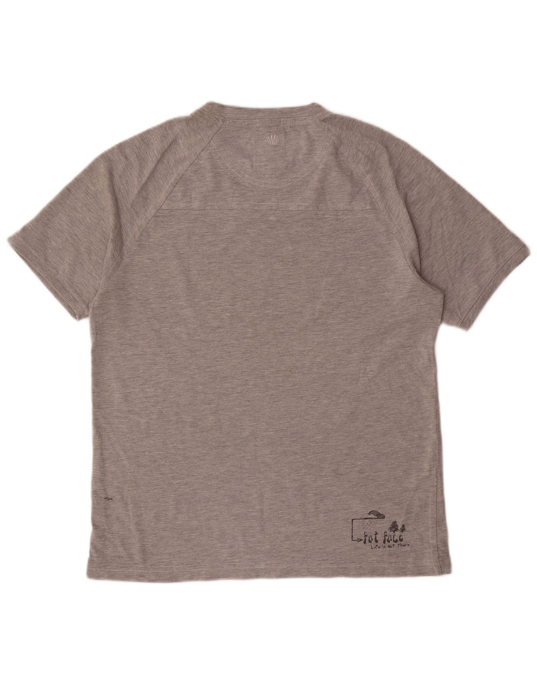 Camiseta con estampado gráfico de Fat Face para hombre, talla pequeña, gris
