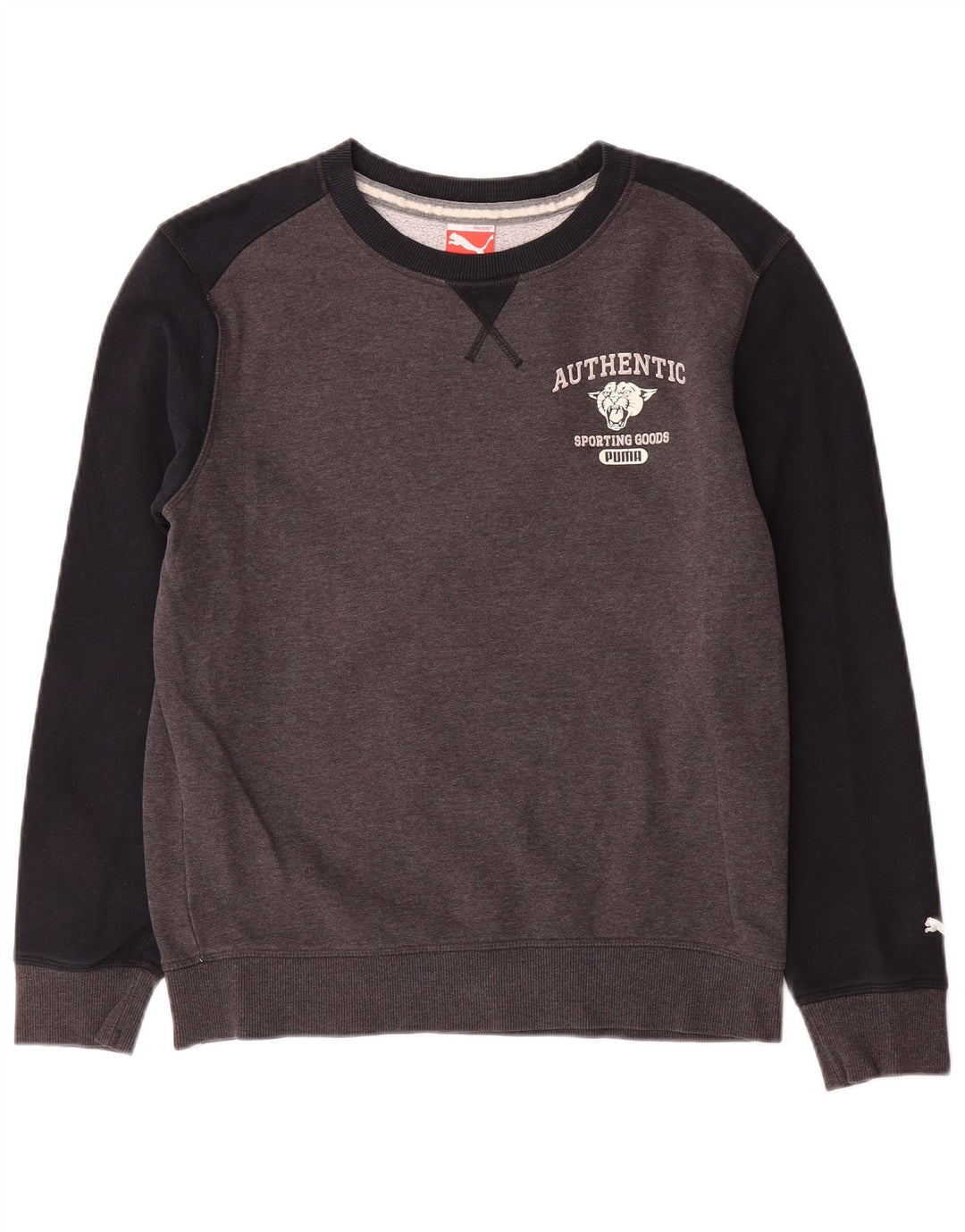 Puma Hombre Sudadera Gráfica Jumper Small Gris Colorblock Algodón