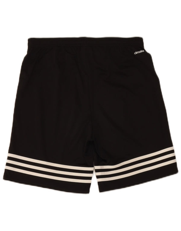 Adidas Chicos Climalite Sport Shorts 13-14 Años Negro Poliéster