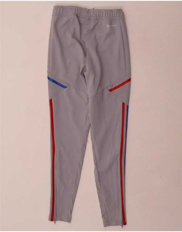 Adidas Hombre Olympique Lyonnais Graphic Chándal Pantalones XS Gris