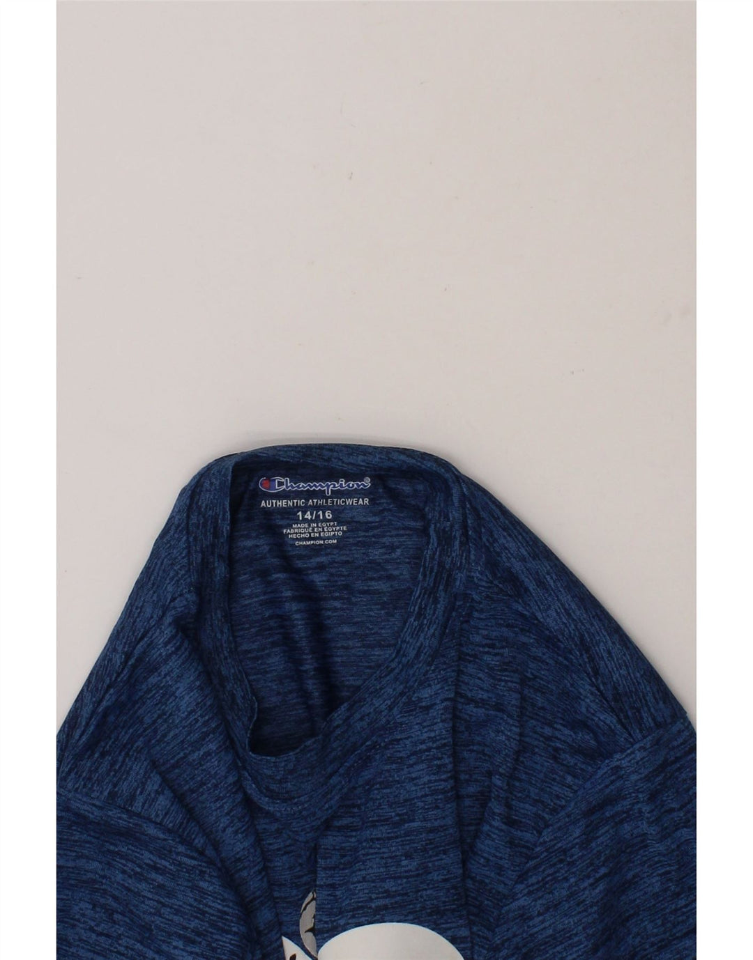 CHAMPION Boys Graphic T-Shirt Top 12-13 Years Blue Flecked Polyester Vintage Champion and Second-Hand Champion from Messina Hembry 
