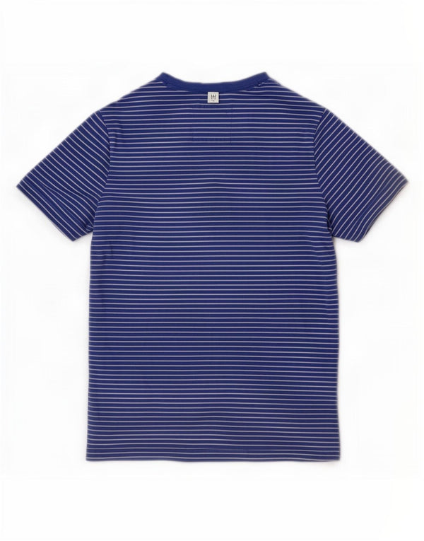 Hollister Mens T-Shirt Top Small Blue Striped Cotton