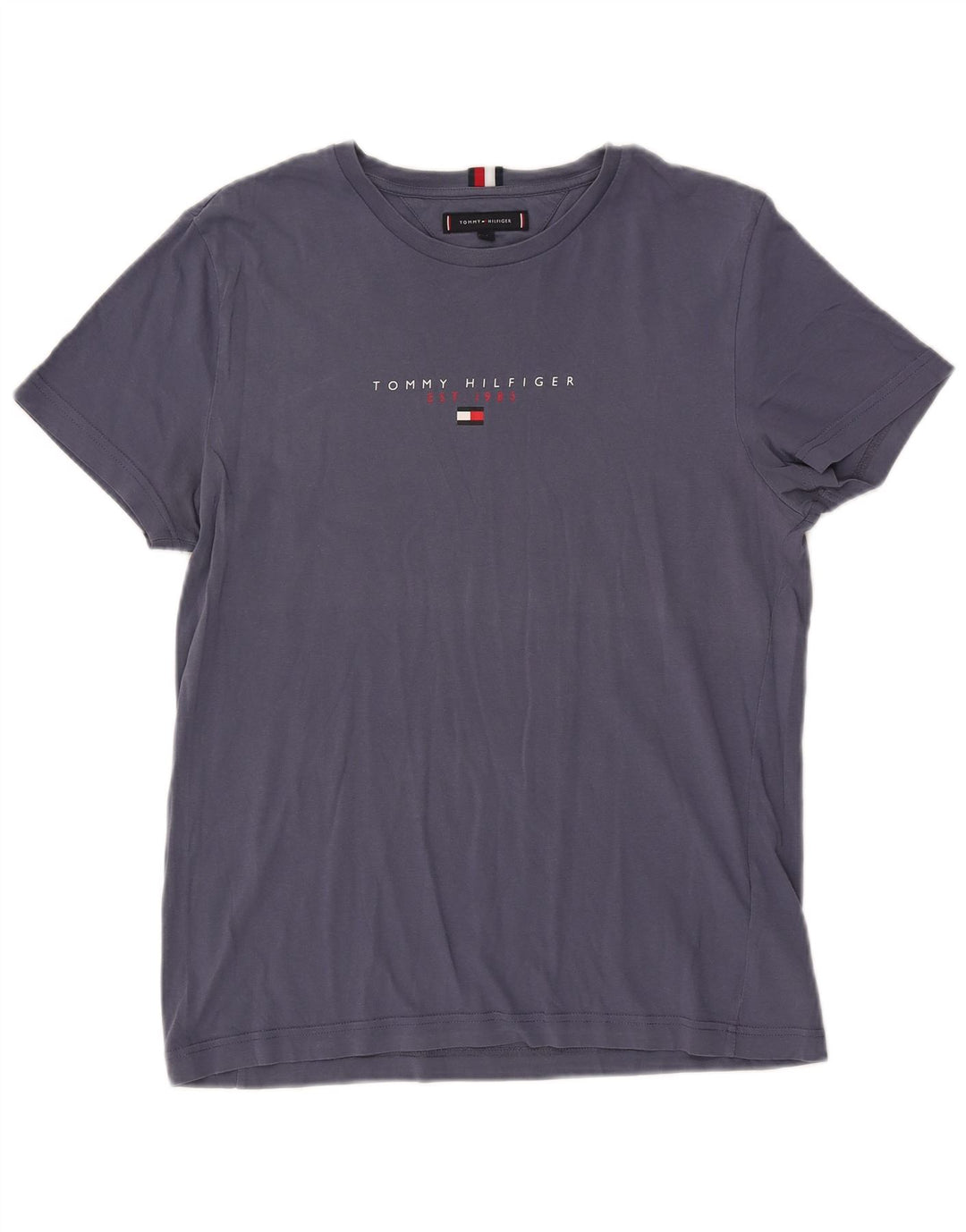 Tommy Hilfiger Camiseta gráfica para hombre Top Medium Azul marino Algodón