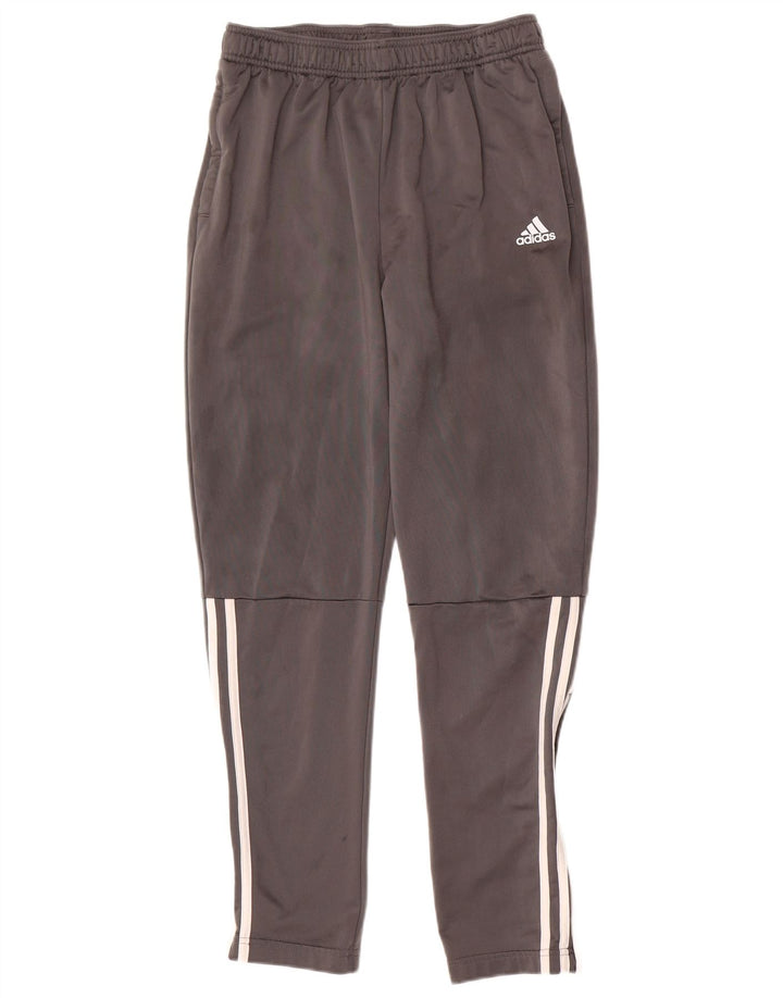 Adidas Pantalón Chándal Niño 15-16 Años Gris Poliéster
