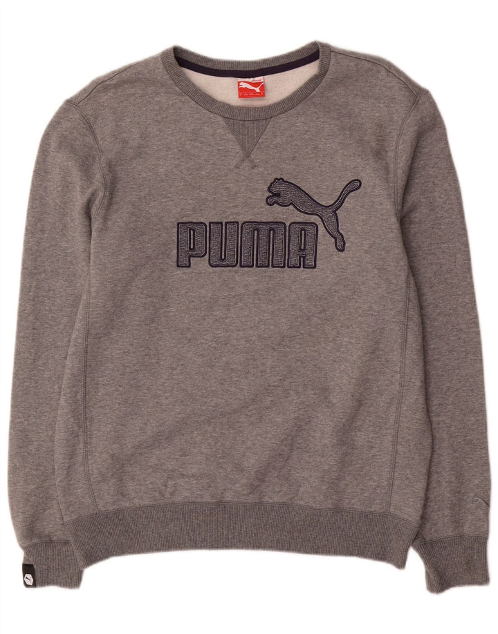 Puma Hombre Graphic Regular Fit Sudadera Jumper Algodón Gris Medio