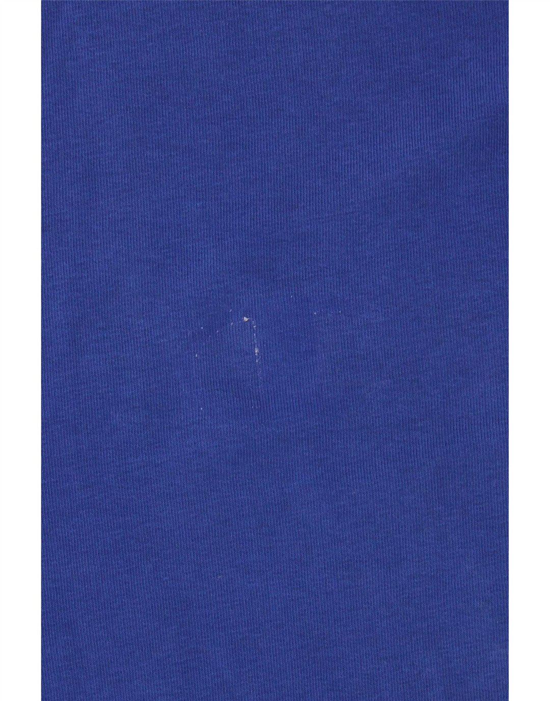 CHAMPION Mens Sweatshirt Jumper 2XL Blue Cotton Vintage Champion and Second-Hand Champion from Messina Hembry 