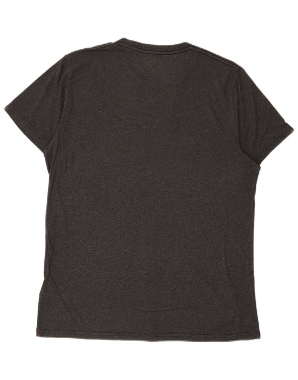 Camiseta Hollister Hombre Top Algodón Gris Medio