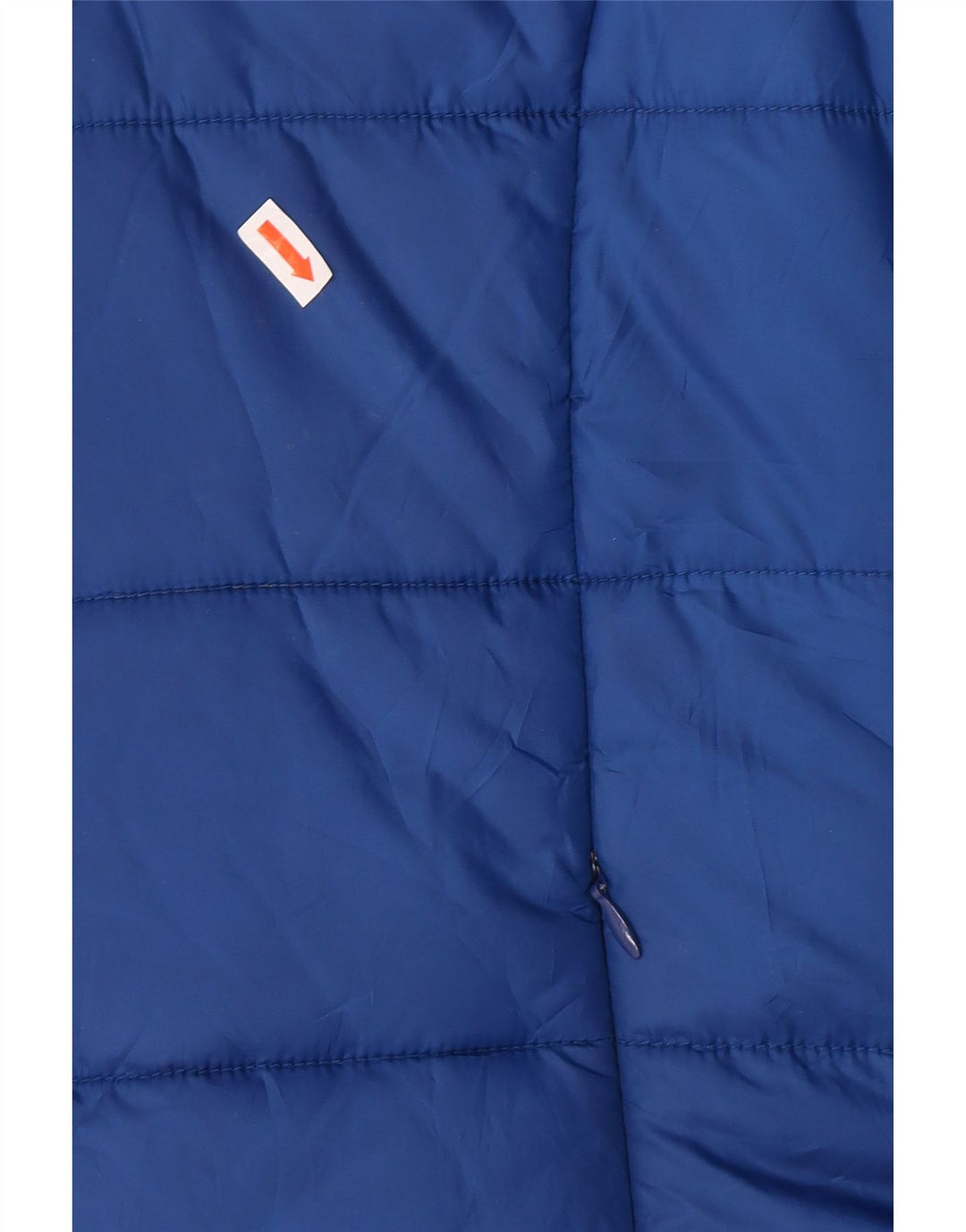 CAVALLI Chaqueta Acolchada Mujer IT 46 Grande Poliéster Azul