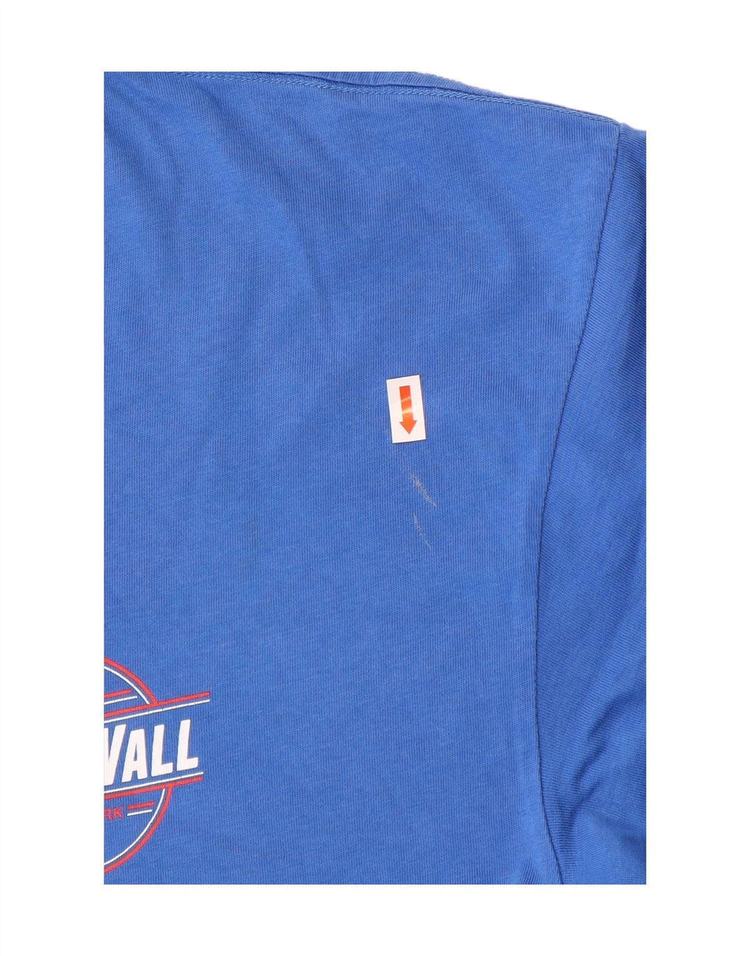 VANS Camiseta clásica con gráfico para hombre, talla grande, algodón azul