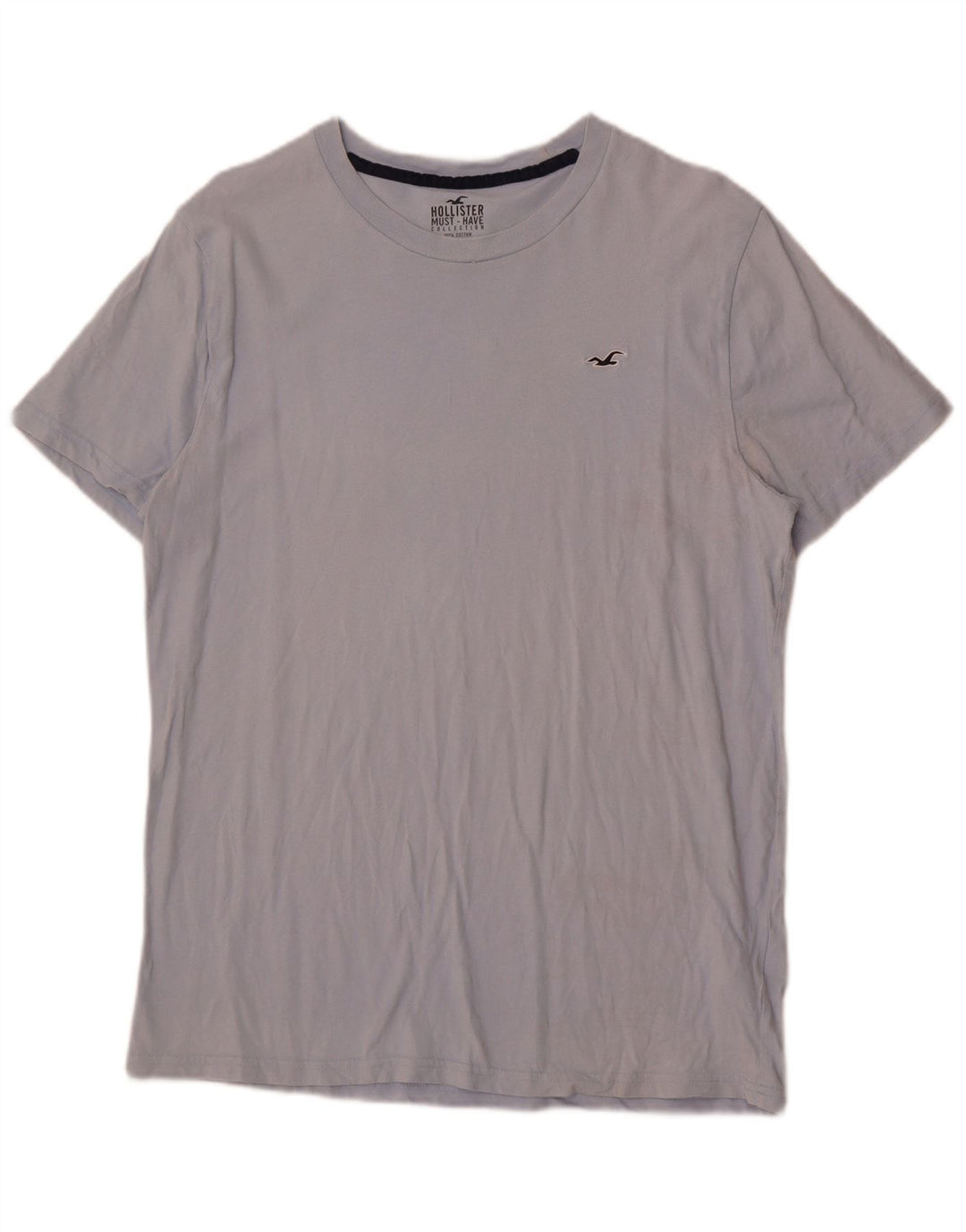 Camiseta Hollister Hombre Top Grande Azul Algodón