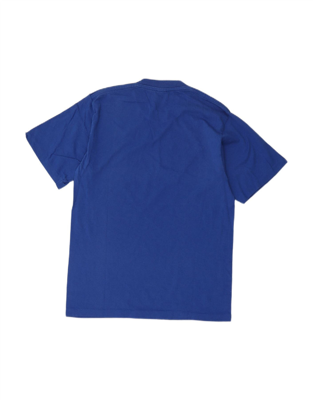 CHAMPION Mens Graphic T-Shirt Top Medium Blue Cotton