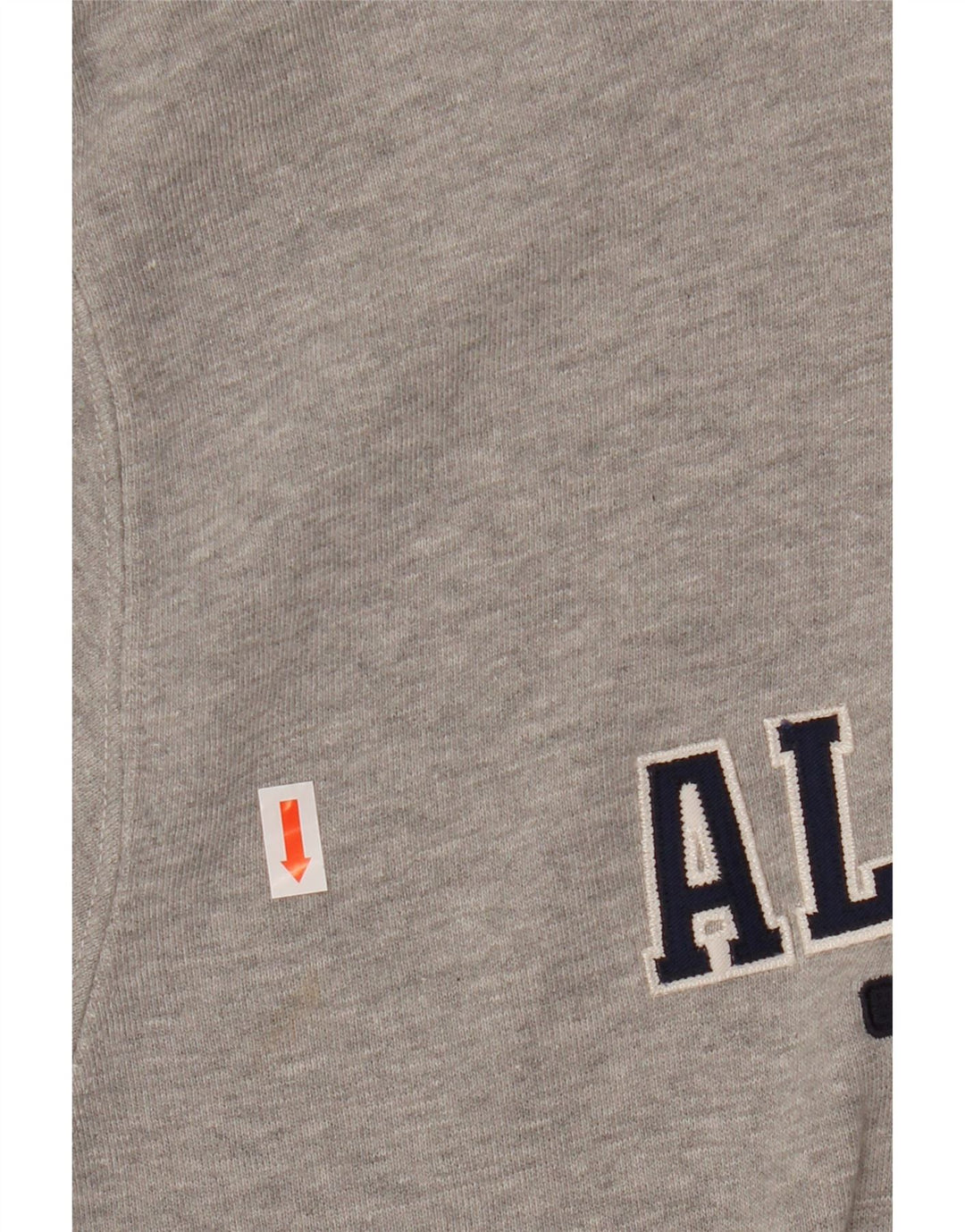 Champion Alabama Graphic Sudadera Con Capucha Jersey Pequeño De Algodón Gris Color Block