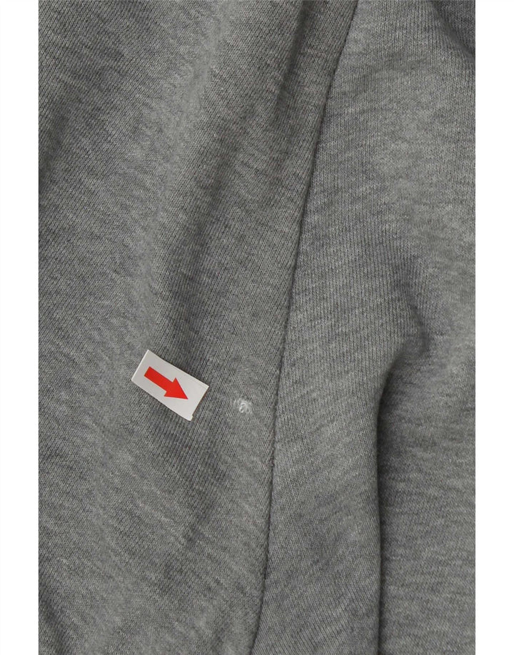 Puma Pantalones De Chándal Gráficos Joggers Gris Medio Colorblock