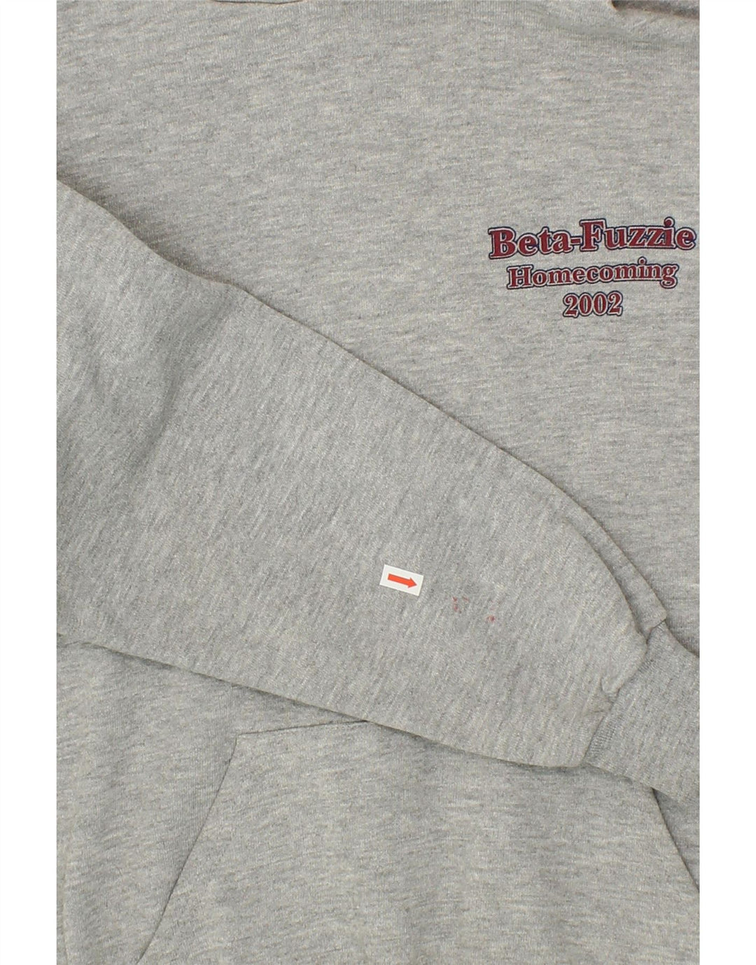 LEE Womens Graphic Hoodie Jumper UK 16 Large Grey Vintage Lee and Second-Hand Lee from Messina Hembry 