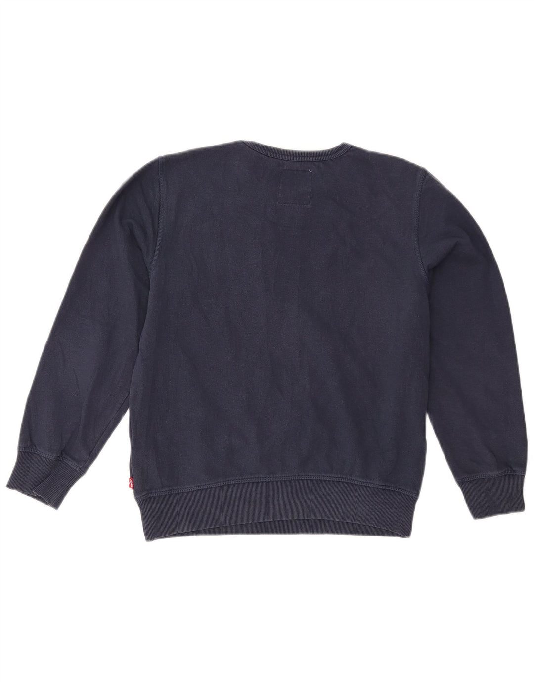 Levi's Sudadera con gráfico para niña Jumper 15-16 años Azul Marino Algodón