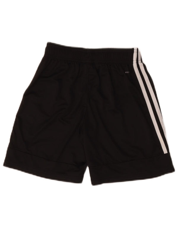 Adidas Chicos Climalite Sport Shorts 11-12 Años Negro Poliéster