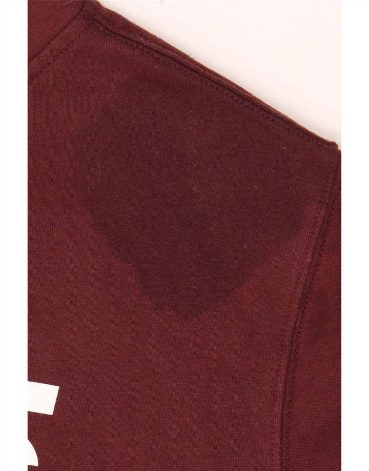 VANS Hombre Graphic Sudadera con capucha Jumper Small Borgoña Algodón