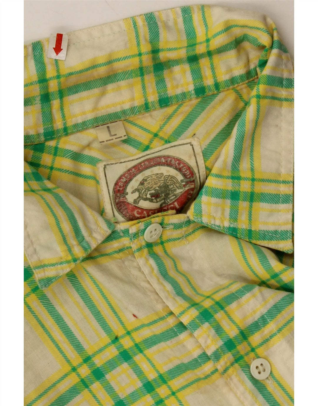 CASUCCI Camisa de manga corta para hombre a cuadros verdes grandes