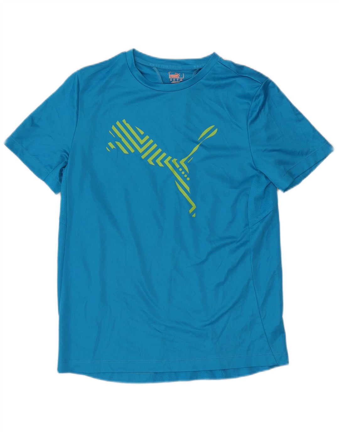 Puma Camiseta Niño Graphic Top 15-16 Años Azul Poliéster