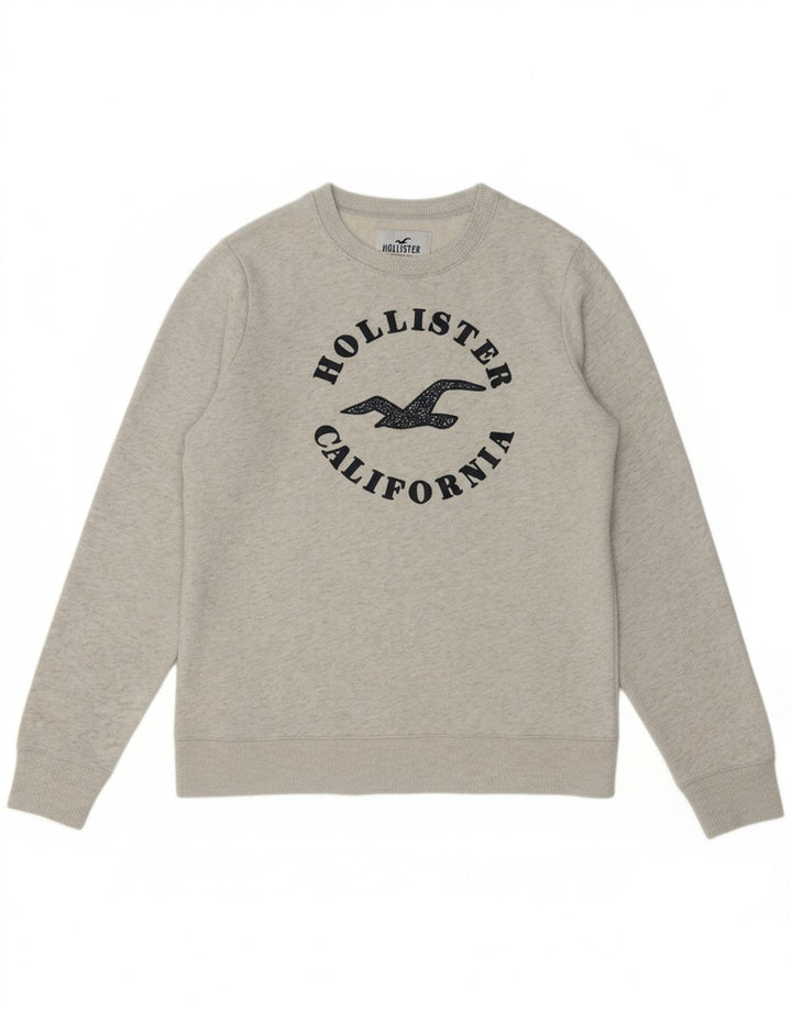 HOLLISTER Mens Graphic Sweatshirt Jumper Medium Grey Cotton