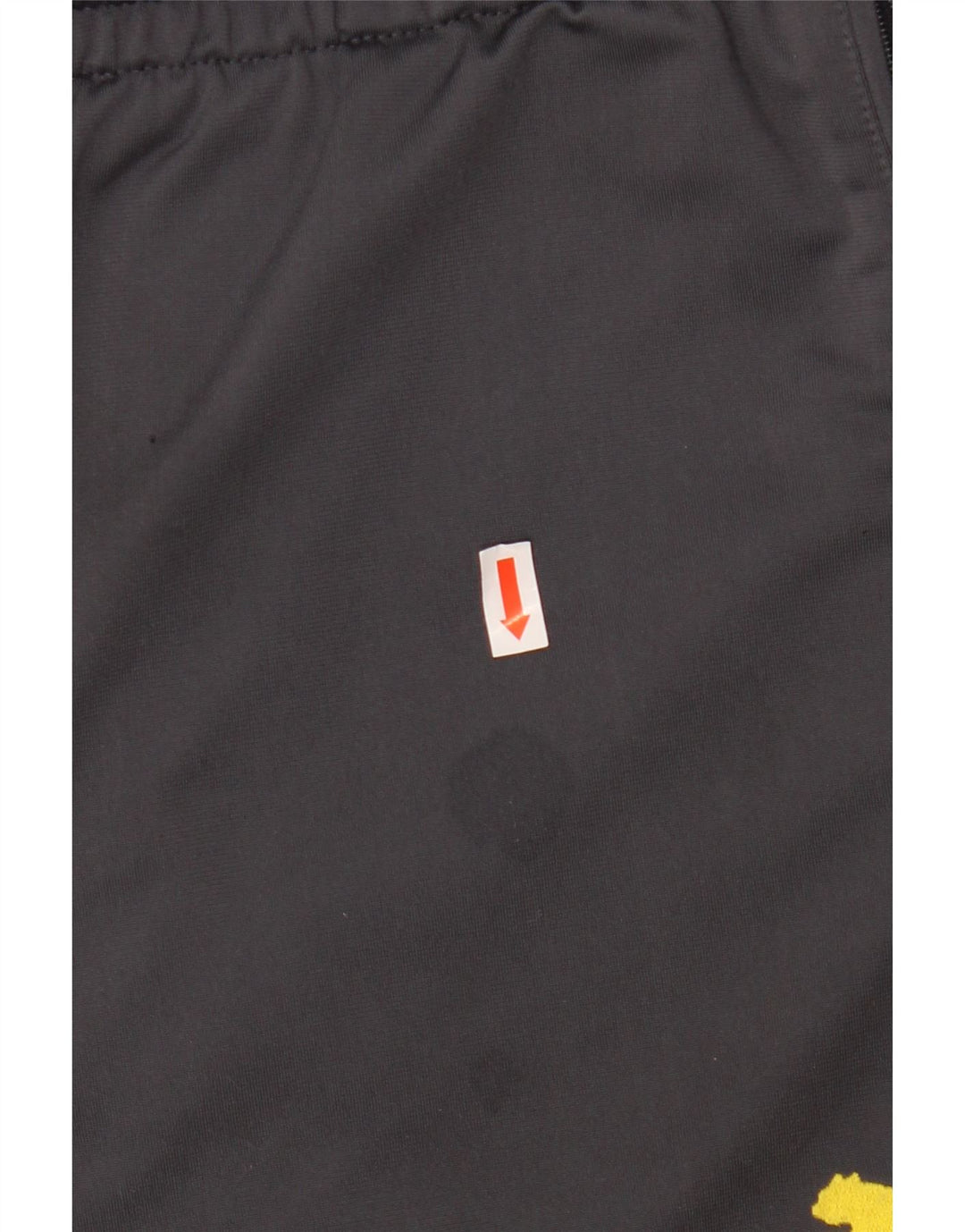 PUMA Pantalones de Chándal BVB Dortmund para Hombre XL Gris Colorblock