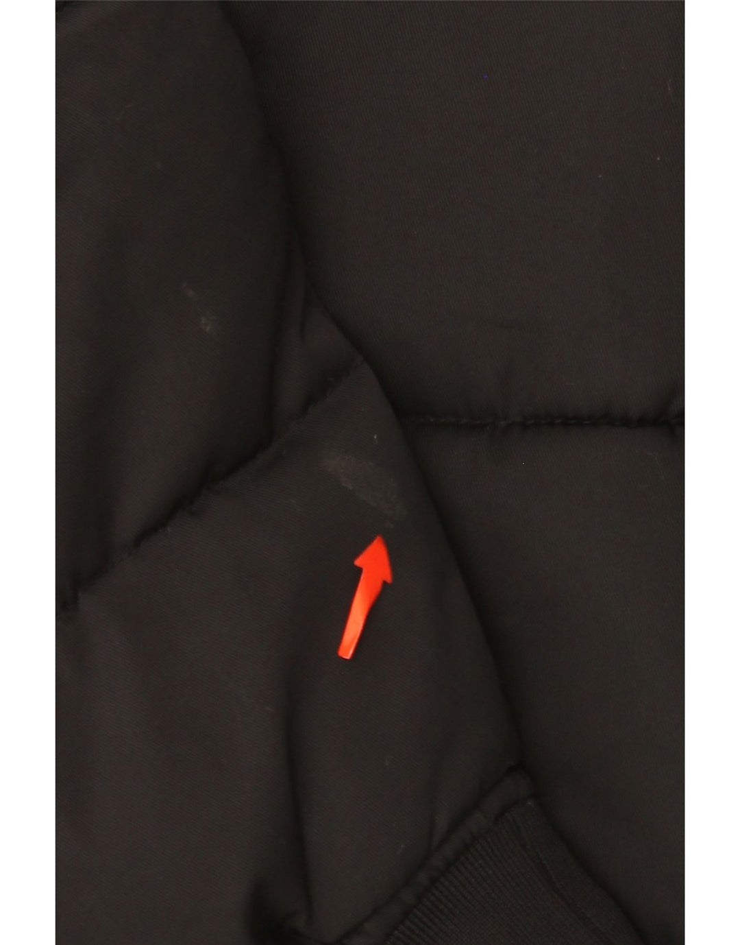 DKNY Chaqueta Acolchada Niña 11-12 Años XS Negro Poliéster